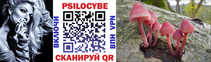 гидра рабочий сайт  Назарово  Псилоцибиновые грибы Psilocybe 